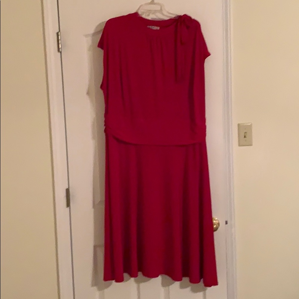 Lady in the Red dress